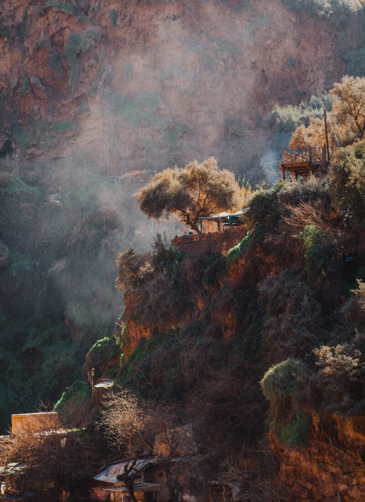 Erica Snyder-Drummond gallery 001 745x1024.jpg